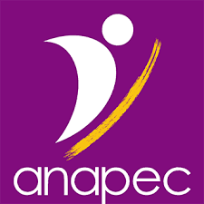 Visa Canada: ANAPEC et son annonce De recrutement de mécanicien automobiles