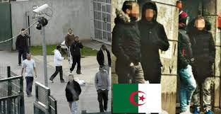 OQTF : un sans-papiers algérien ne peut être expulsé