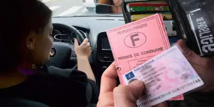 Les permis de conduire roses