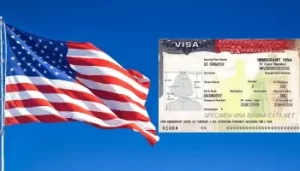 Frais de visas : les causes derrière cette augmentation de tarifs