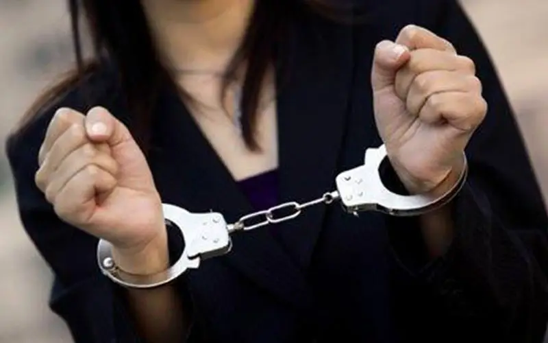 Une ressortissante algérienne interpellée pour avoir commis un délit grave en France