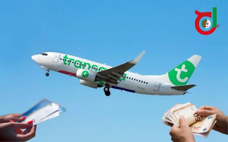 Réservations Transavia vers l'Algérie : des vols à partir de 70€